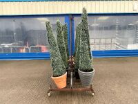 10No. ARTIFICIAL EXTERIOR TREES ON METAL STORAGE TROLLEY - 4