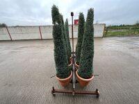 10No. ARTIFICIAL EXTERIOR TREES ON METAL STORAGE TROLLEY - 7