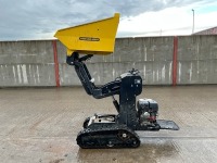 Y6000L 600KGS PETROL TRACKED HIGH TIP DUMPER - 9