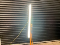 ELITE 110V SITE LIGHT - 2