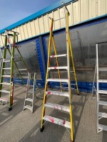 6 TREAD FIBRE GLASS STEP LADDER