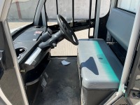 GARIA ELECTRIC UTILITY & PARK BUGGY  - 19