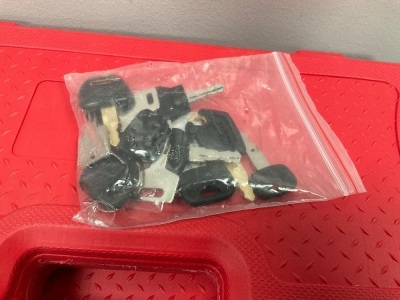 APPROX. 12No. UNUSED EQUIPMENT MASTER KEYS TO SUIT PLANT & MACHINERY