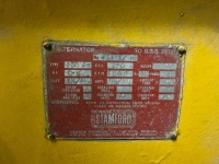 FG WILSON 250KVA GENERATOR - 5