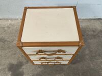 THREE DRAWER STORAGE TRUNK ON WHEELS - 2