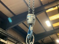 WALTER WATSON 2 TON OVER HEAD CRANE - 4