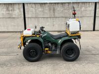 YAMAHA GRIZZLY 350 ULTRAMATIC 4WD ROAD LEGAL QUAD - 2