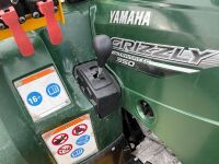 YAMAHA GRIZZLY 350 ULTRAMATIC 4WD ROAD LEGAL QUAD - 14