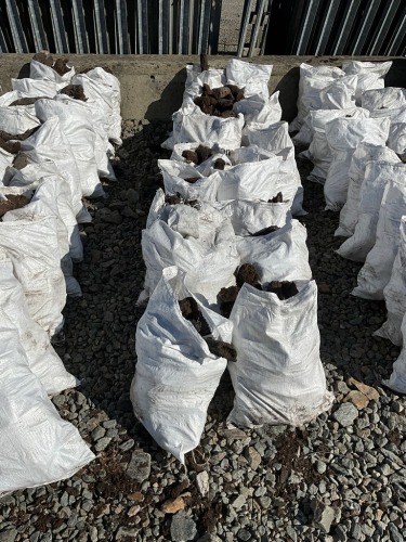 APPROX. 20No. BAGS OF TURF