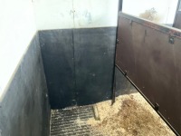 IVECO- FORD CARGO 75E17 3.5 TON HORSE LORRY  - 16