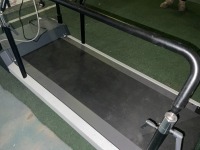 EB-BO SYSTEMS TREADMILL - 5