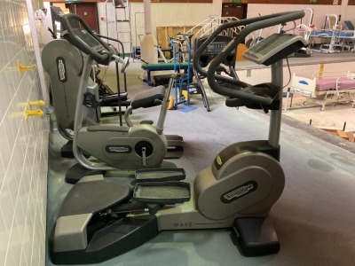 TECHNOGYM WAVE STEPPER