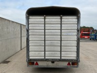 IFOR WILLIAMS 12ft x 6ft5" TWIN AXLE 3500KGS CATTLE TRAILER - 16