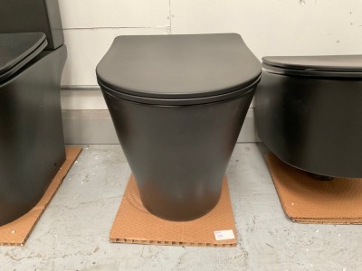 BLACK BACK TO WALL PAN + SEAT