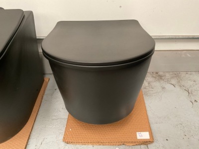 BLACK WALL MOUNTED PAN + SEAT