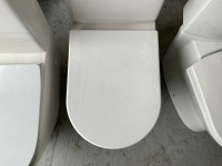 FULLY ENCLOSED TOILET WITH PAN, CISTERN, AND SEAT - 2