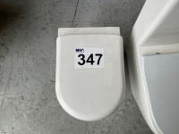 BACK-TO-WALL PAN AND SEAT - 2