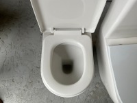 BACK-TO-WALL PAN AND SEAT - 3