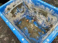 PLASTIC MORTAR TUB - 2