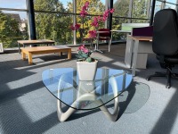 CLEAR GLASS TRIANGULAR COFFEE TABLE SILVER & MAGENTA ORCHID