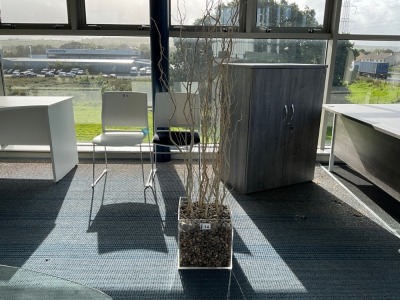 CONTORTED WILLOW ARTIFICIAL PLANT
