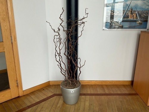 CONTORTED HAZEL ARTIFICIAL PLANT