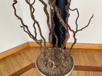 CONTORTED HAZEL ARTIFICIAL PLANT - 3