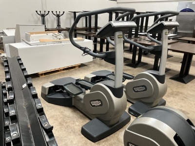 TECHNOGYM WAVE STEPPER