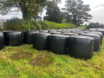 APPROX. 50No. LAST YEARS BIG BALES OF SILAGE