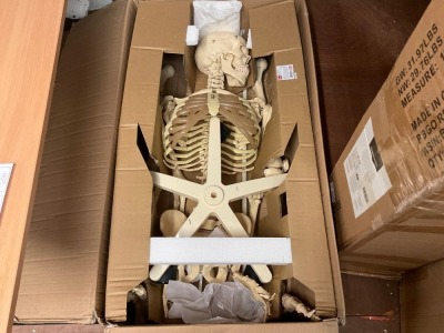 COMMOTION FULL SIZE SKELETON WITH STAND PRODUCT CODE 03067