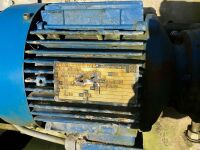 3 PHASE STAINLESS STEEL TWIN FEED SCREW CONVEYOR  - 2