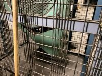 3 PHASE POWDER METAL PRESS - 15