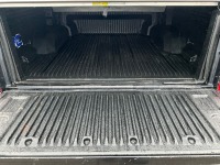 FORD RANGER WILDTRAK 2.0 ECOBLUE AUTOMATIC DOUBLE CAB PICKUP - 13