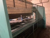 PROMECAM RG-154 4M 150TON 3 PHASE PRESSBRAKE - 14