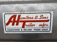 APPROX. 12ft x 6ft HAMILTON TRI AXLE CATTLE TRAILER&nbsp; - 10
