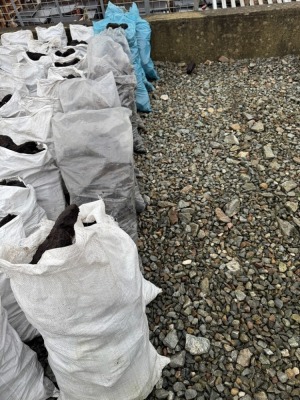 APPROX. 10No. BAGS OF TURF