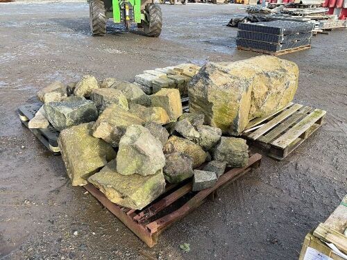 GIANTS CAUSEWAY STARTER KIT