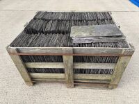 APPROX. 420N> 20x10 BANGOR BLUE SLATES&nbsp; - 8