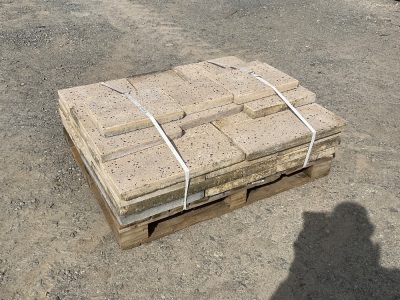 APPROX. 30No. ASSORTED PAVING SLABS