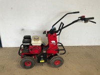 CAMON TC07 PETROL WALK BEHIND TURF CUTTER - 2