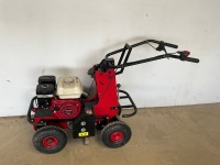 CAMON TC07 PETROL WALK BEHIND TURF CUTTER - 2