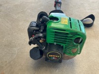 ACTIVE LONG REACH PETROL HEDGE TRIMMER - 3