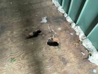 APPROX. 20ft x 8ft ANTI VANDAL STORAGE CONTAINER - 11