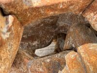 MUSTANG RH12 HYDRAULIC ROTATION SHEAR TO SUIT 18-25 TON EXCAVATOR - 13