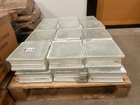 PALLET TO INC. APPROX. 24No. GLASS BLOCKS