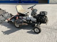NATIONAL 3 GANG RIDE ON CYLINDER LAWNMOWER & SWEEPER - 19