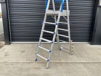 CLOW ADJUSTABLE MAGIC LADDER - 2