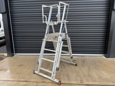 YOUNGMAN TELEGUARD ALUMINIUM TELESCOPIC PLATFORM LADDER