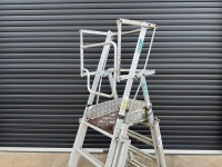 YOUNGMAN TELEGUARD ALUMINIUM TELESCOPIC PLATFORM LADDER - 3