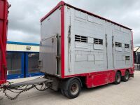 RENAULT T520 T-HIGH 6X2 26 TON AUTOMATIC LIVESTOCK LORRY & DRAG TRAILER - 18
